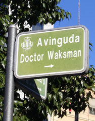 Avenida Dr. Waksman (Valencia)