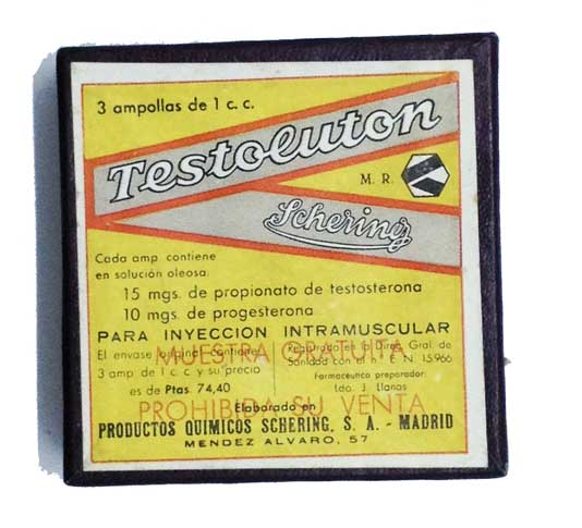 Testolutón