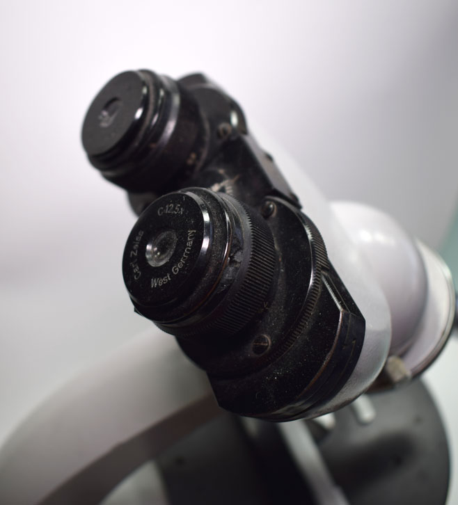 Microscopio binocular Carl Zeiss