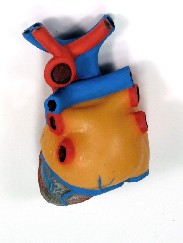 Modelo corazón para la enseñanza