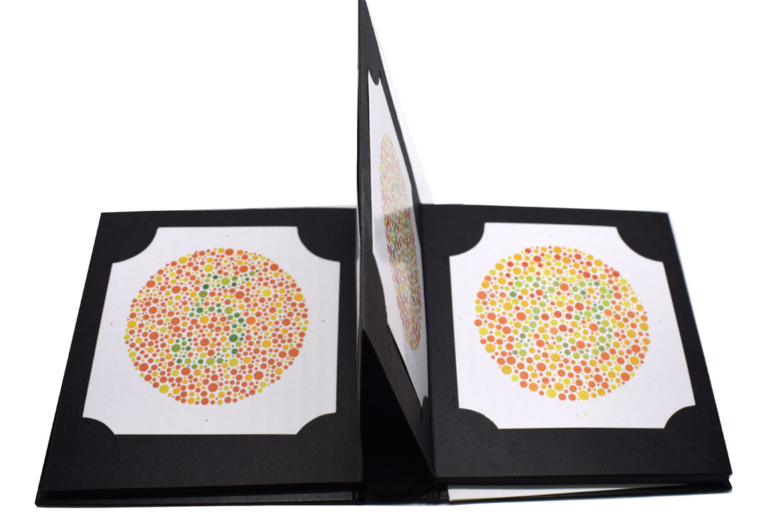 Test Ishihara para el diagnóstico Discromatopsias